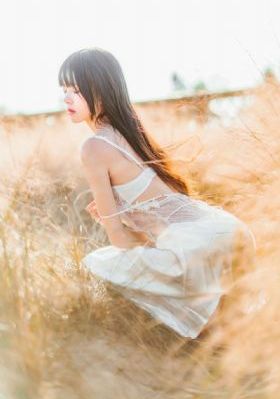 电影轮回完整版免费观看高清_DVD高清免费观看